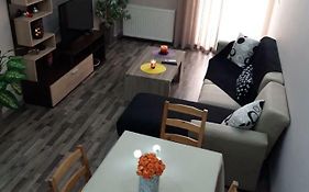 Full Comfort Apartment In Athens City